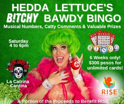 Hedda Lettuce's Bitchy Bawdy Bingo