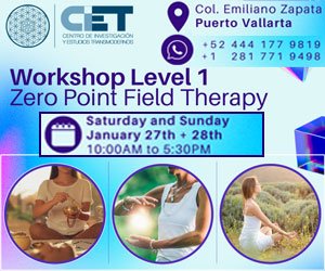Zero Point Field Therapy Workshop